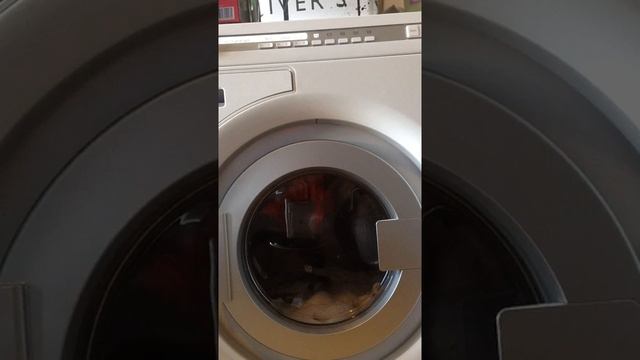 Woolwash 40. смотреть онлайн