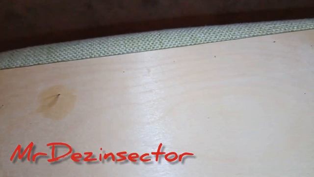 СтройНавигатор