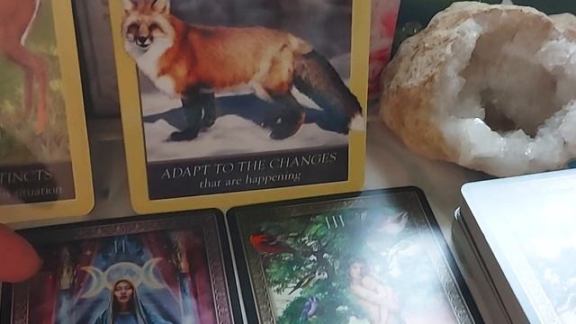 DF, KEEP YOUR WITS ABOUT YOU. THERE IS A SLY FOX ON YOUR PATH! смотреть онлайн