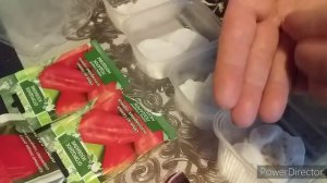 #влог/Как Проверить Семена на Всхожесть Перед Посадкой в Грунт?/Проращиваю Семена  Перца и Баклажан