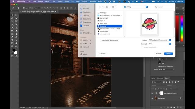 Logo + Poster + Video by Illustrator, Photoshop, and Premiere Pro смотреть онлайн