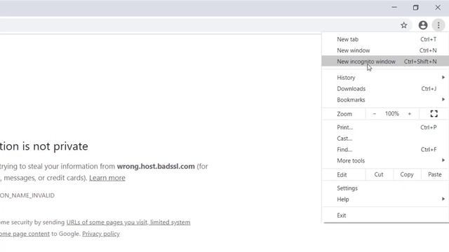 How To Fix: Your Connection is Not Private, Google Chrome, NET::ERR_CERT_COMMON_NAME_INVALID смотреть онлайн