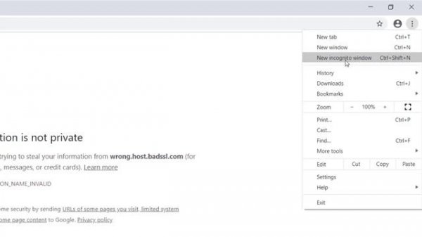 How To Fix: Your Connection is Not Private, Google Chrome, NET::ERR_CERT_COMMON_NAME_INVALID
