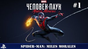 Человек-Паук: Майлз Моралес - часть 1