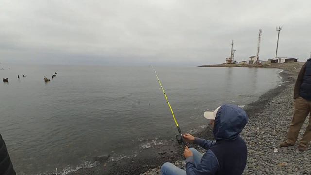 Прогулка на Большой Утриш. смотреть онлайн