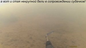 Подводная охота зимой на реке Векса!