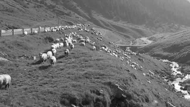 Miorița / Old pastoral epic ballad смотреть онлайн