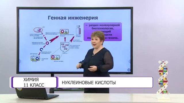 Химия. 11 класс. Нуклеиновые кислоты /23.04.2021/