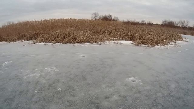 Рыбалка в Липецкой области в глухозимье... смотреть онлайн
