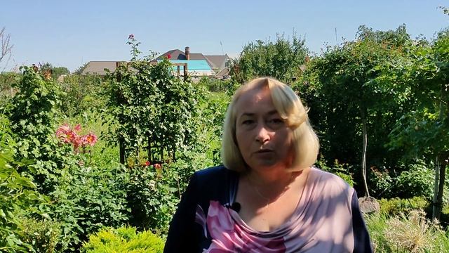 Все о выращивании роз первого года посадки смотреть онлайн