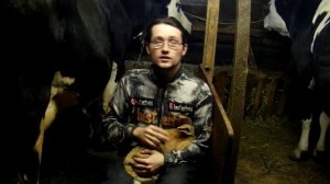 Определение охоты у крольчихи. Как проверить самку на готовность к случке.