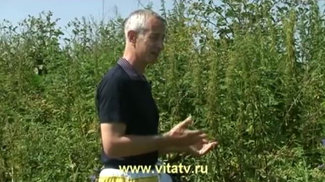 Доктор Попов.Пить 100 грамм |LOLKA смотреть онлайн