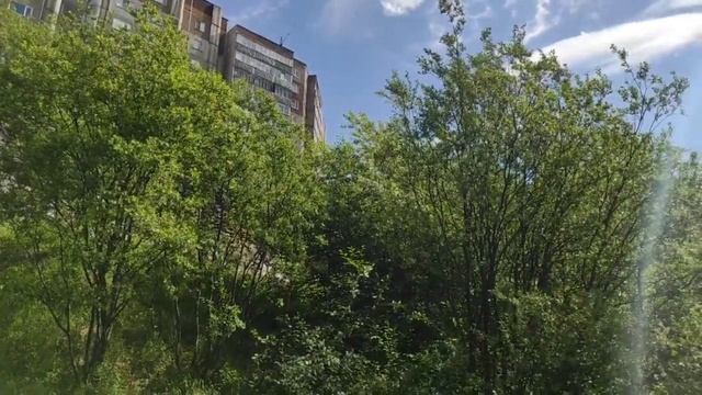 Одуванчиковый Мурманск.14 июня. смотреть онлайн