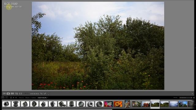 Краткий обзор объектива FUJIAN 25/1.8 (CCTV, APS-C, Sony E, 8 лепестков). Примеры фотографий. ξ036