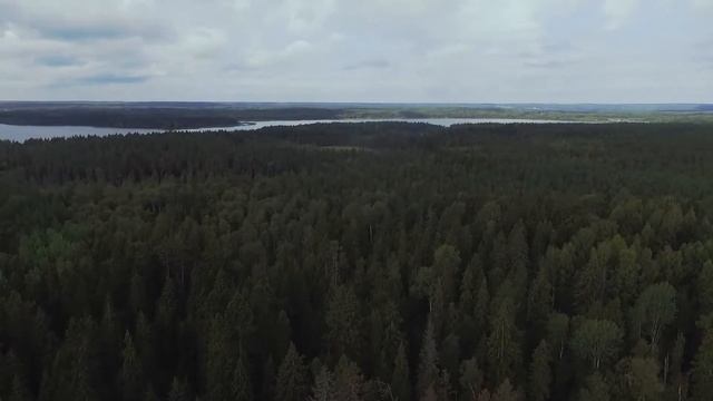 участок 60 соток под строительство элитного коттеджа смотреть онлайн