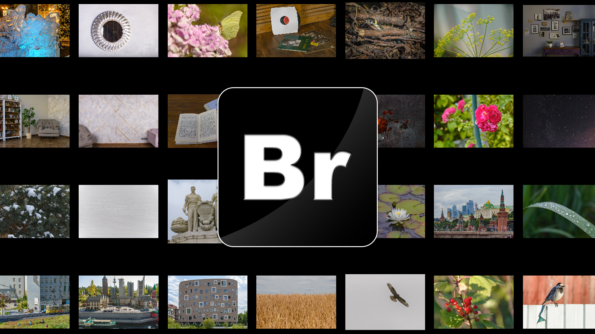 Adobe Bridge смотреть онлайн