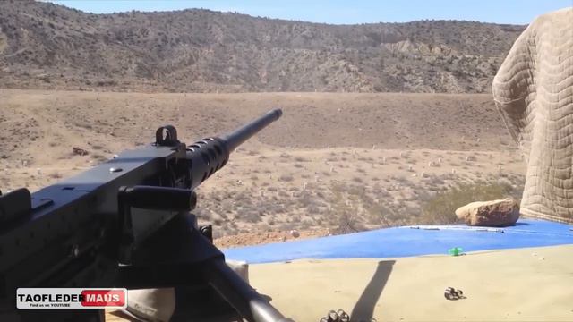 What's It REALLY Like To Shoot A 50 Cal Machine Gun 1200 Meters?