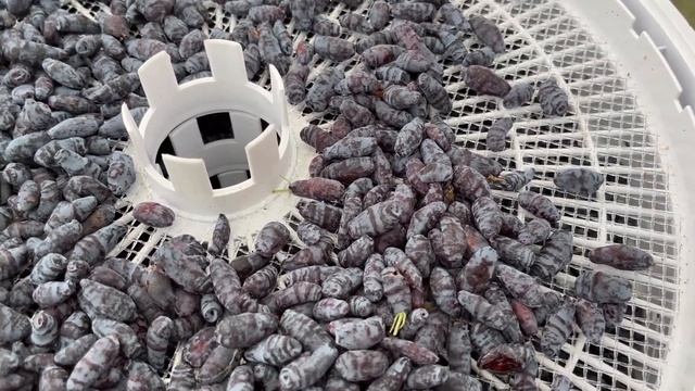 Секреты Умелых Рук