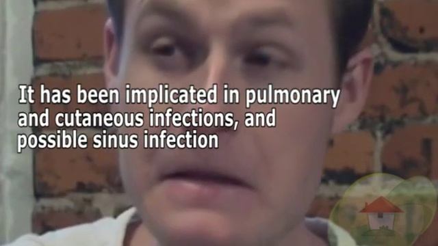 Cladosporium Cladosporioides