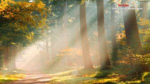 Сильнейшая Медитация Прощение и Принятие Себя | Самооценка и Любовь к Себе | медитация бесплатно