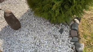 Не советую отсыпать клумбы мраморной крошкой!