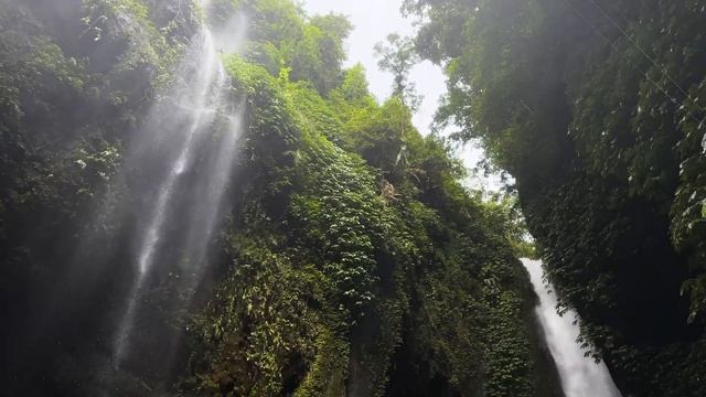 ВОДОПАДЫ SEKUMPUL. ПАРК РЕПТИЛИЙ. ВЛОГ С БАЛИ смотреть онлайн