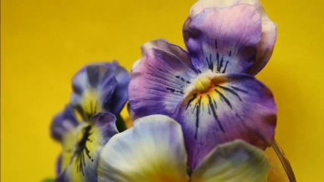 Фиалки садовые мастер класс смотреть онлайн