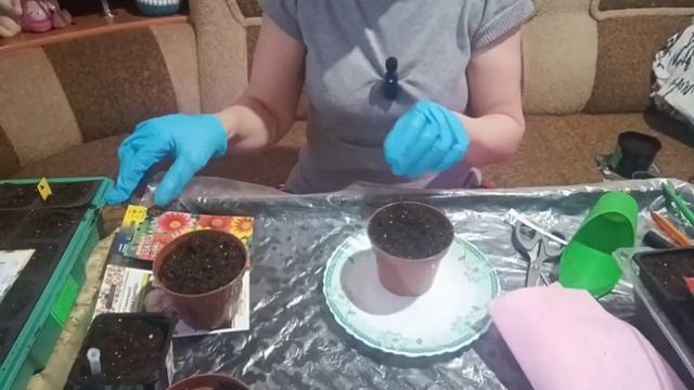 Продолжаем сажать цветы. смотреть онлайн