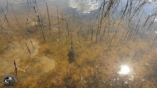 Рыбалка на спиннинг с берега! смотреть онлайн