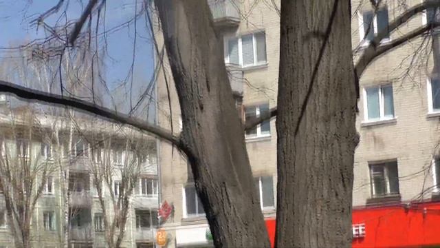 Загадка и разгадка старых деревьев 2 смотреть онлайн