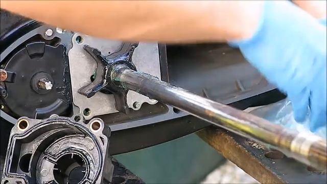 Remplacement turbine de pompe à eau - Suzuki DF115 de 2010 смотреть онлайн