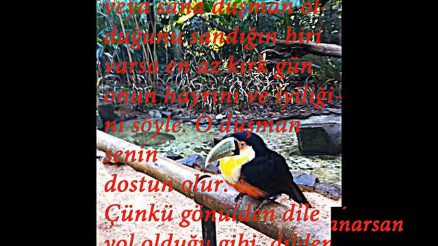 Nezihe Araz Aşk Peygamberi/İnsanın vefası bir yerde biter ama Yaradanın insana vefası sonsuzdur. смотреть онлайн