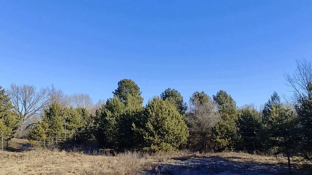 5 Знаков Зодиака, которые никогда не прощают обиды... смотреть онлайн