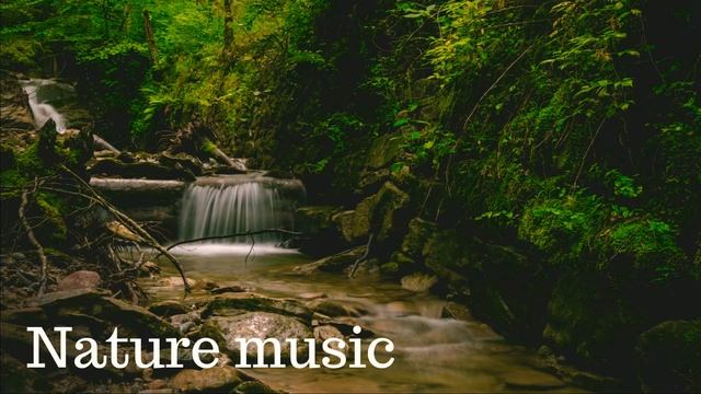 Шум леса и воды. Исцеляющий белый шум. Настрой свои мысли с помощью природы.
