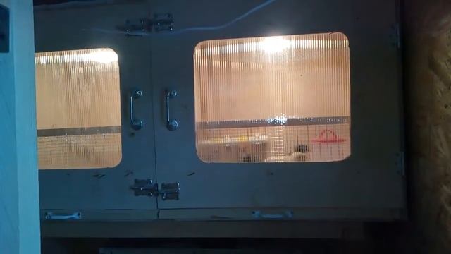 курятник своими руками смотреть онлайн