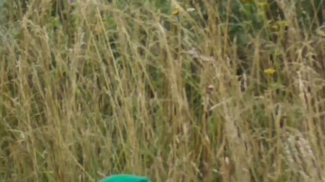 ЛМШ 2018 - ЗОНДЕРСКИЙ ПОХОД смотреть онлайн