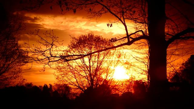 Рассвет. Начало дня. смотреть онлайн