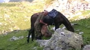 Охота на тура