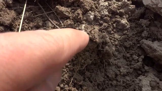 ЧЕШУЯ С ДРЕВНЕЙ ЯРМАРКИ! СРЕДНЕВЕКОВЬЕ В ПОЛЯХ смотреть онлайн