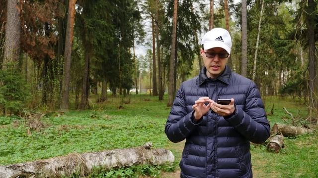 Кафе Mama Roma. Как испортить свой день? Отзыв посетителя смотреть онлайн