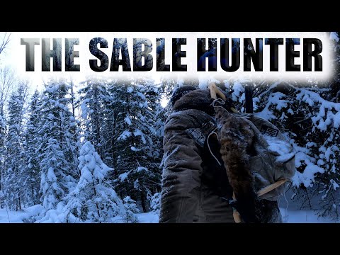 Охота на соболя капканами СИБИРСКИЙ ОКРУГ смотреть онлайн