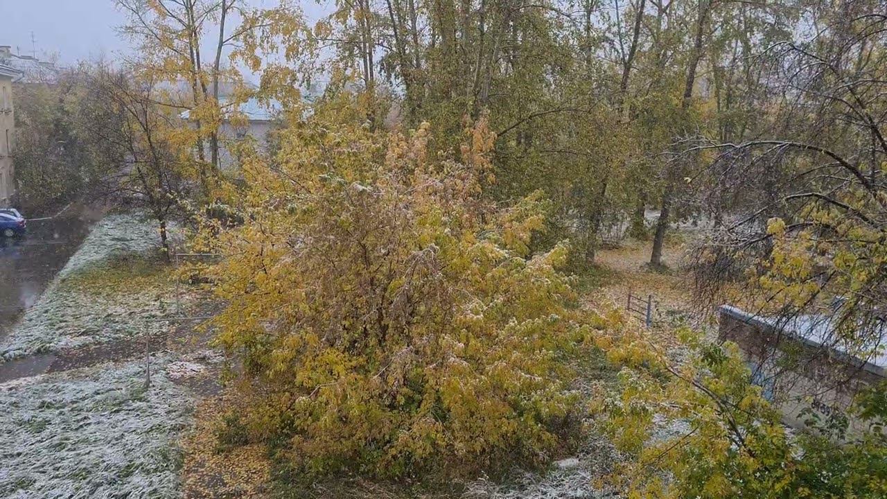 Сибирские просторы. Северск. С первым снегом! смотреть онлайн