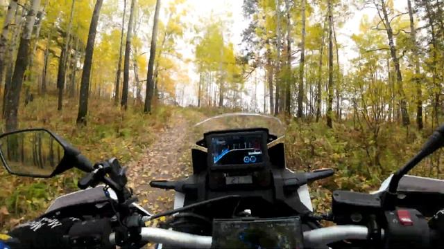 Honda Africa Twin CRF1100 По лесу как по парку Краски осени 24.09.2022 смотреть онлайн