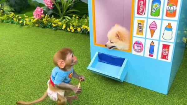Monkey Baby Bon Bon doing shopping in Toy store and eats ice cream rainbow with duckling the pool