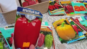 Крупноплодные,вкусные сорта перца. Что посадить.Сложный выбор.