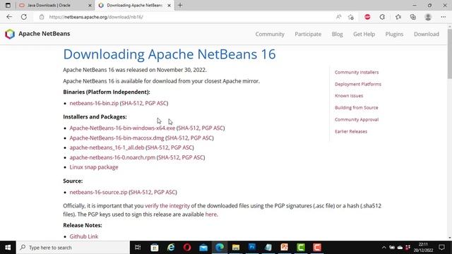 How to install Apache NetBeans on Windows 10 | Set up Netbeans on Windows 11 | Netbeans and Java JD смотреть онлайн