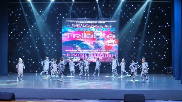 Зебрики 1 место?? Юбилейный год Галактика Tribute "В ритме свободы" смотреть онлайн