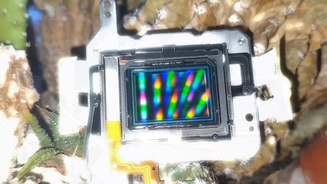 как выглядит матрица от зеркального фотоаппарата смотреть онлайн