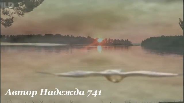 Живи мечтой, почувствуй свободу смотреть онлайн