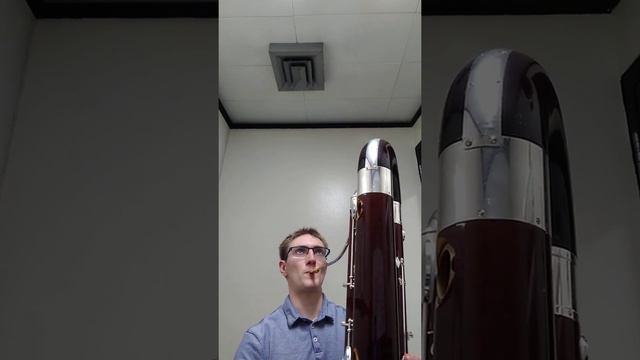 Milde's Tarantella on Contrabassoon (well, sort of) смотреть онлайн